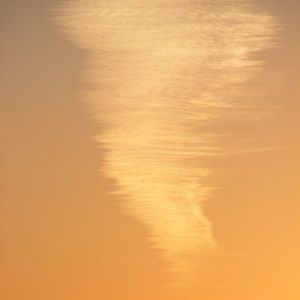 Meet your Posher, Francesca